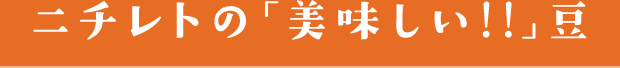 二チレト「美味しい！！」豆